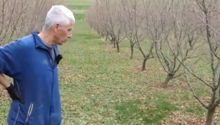 Mirsada Zuluma, koji radi na održavanju plantaže lešnika, nadomak Gornjeg Vakufa - Uskoplja pre nekoliko dana potpuno je zatekla velika jama koja se pojavila među drvećem
