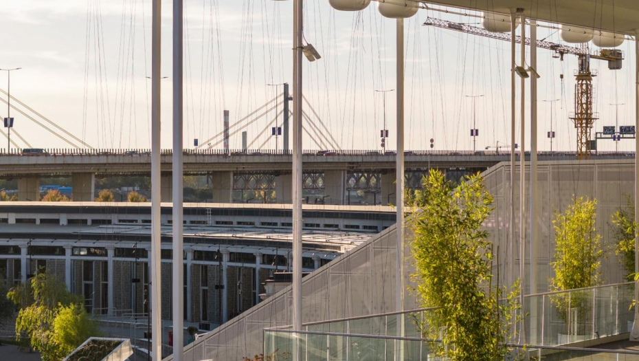 Foto: Miloš Martinović