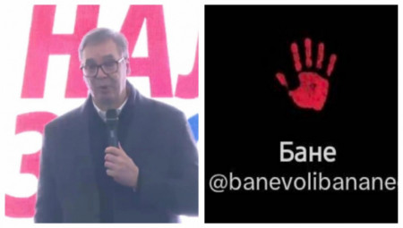 Predsednik Srbije Aleksandar Vučić danas je u Sečnju govorio o nalozima koji su učestvovali u kampanji protiv Srbije