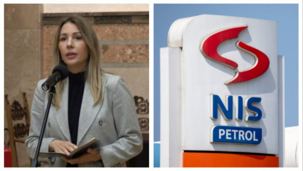 dubravka đedović handanović