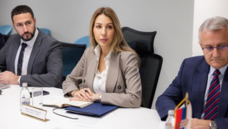 EVO ŠTA NAS ČEKA U DECEMBRU I JANUARU Oglasila se ministarka Đedović nakon sastanka sa predstavnicima naftnih kompanija
