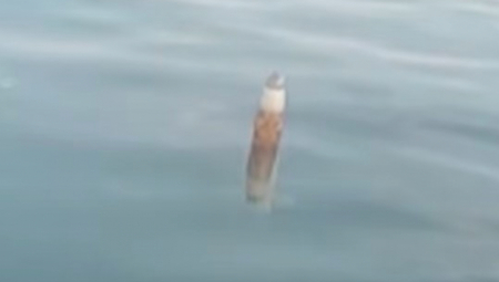 Jedan pecaroš u Crnom moru, nedaleko od Artvina na severoistoku Turske, pronašao je neidentifikovani objekat koji je plutao na površini vode
