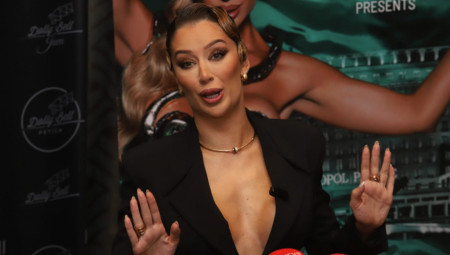 Tea Tairović večeras je pred domaćim medijima najavila novogodišnji nastup