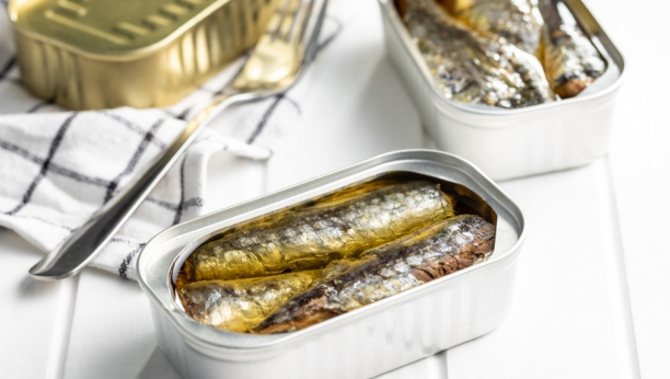 sardine