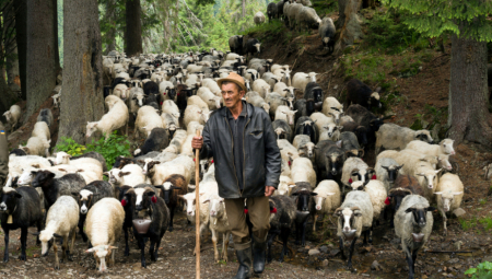 Bugarin Bojan Ivanov, čovek koji je još 2013. godine zvanično proglašen mrtvim, pronađen je živ u nacionalnom parku Pirin posle više od decenije nestanka.
