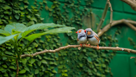 Neobičan razlog zašto ptice započinju da pevaju ranom zorom iznenadio je naučnike.