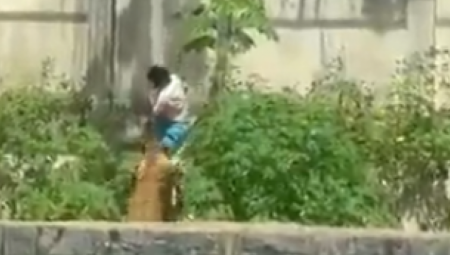 Muškarac je u nedelju stradao nakon što je ušao u ograđeni prostor sa lavicom u zoološkom parku u mestu Žoao Pesoa u Brazilu