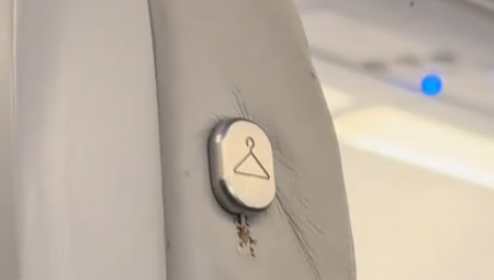 Video koji kruži mrežama postavlja jedno pitanje - Da li znate čemu služi ovo dugme u avionu?