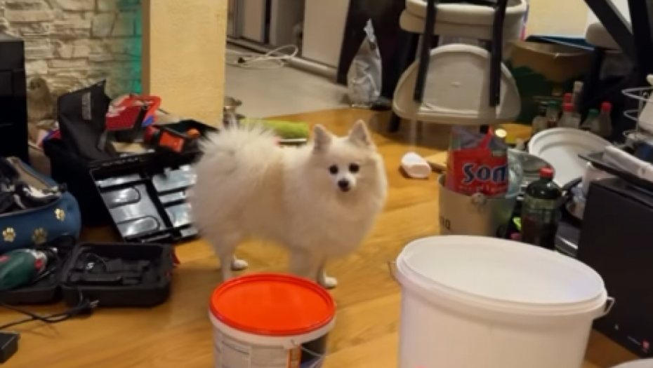 Stan Nenada Marinkovića Gastoza