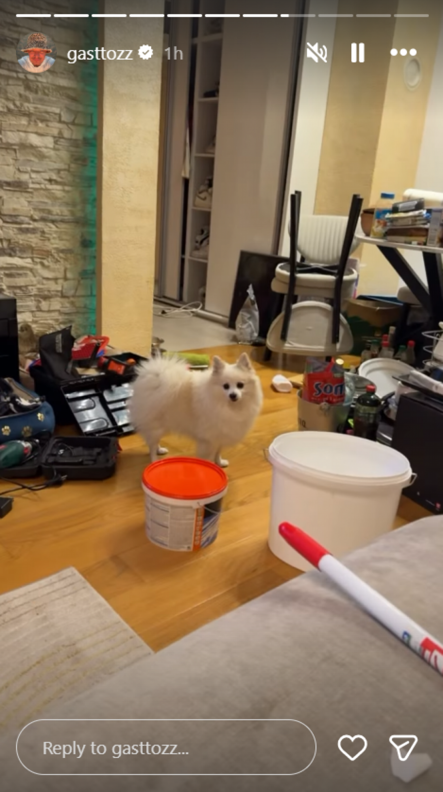 SVE RAZBACANO, SVUDA NERED! Evo šta se dešava u Gastozom stanu nakon što je raskinuo sa Anđelom, fanovi šokirani (FOTO)