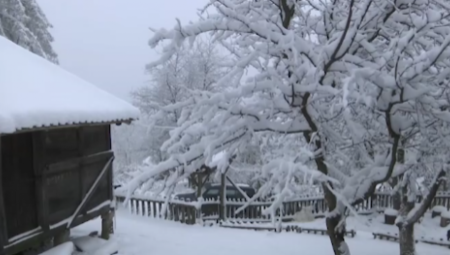 U selu Planina, na granici Krupnja i Ljubovije, danas više ima divljih zveri nego ljudi