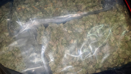 Pripadnici Ministarstva unutrašnjih poslova u Jagodini podneće krivičnu prijavu protiv osamnaestogodišnjaka i šesnaestogodišnjaka iz Jagodine, zbog  sumnje da su izvršili krivično delo neovlašćena proizvodnja i stavlјanje u promet opojnih droga.