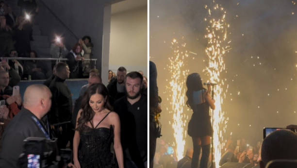 Ceca Ražnatović koncert u Zrenjaninu