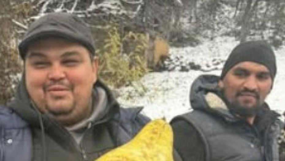 čovek pronašao krušku