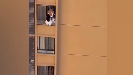 Video je izazvao veliku pažnju na internetu