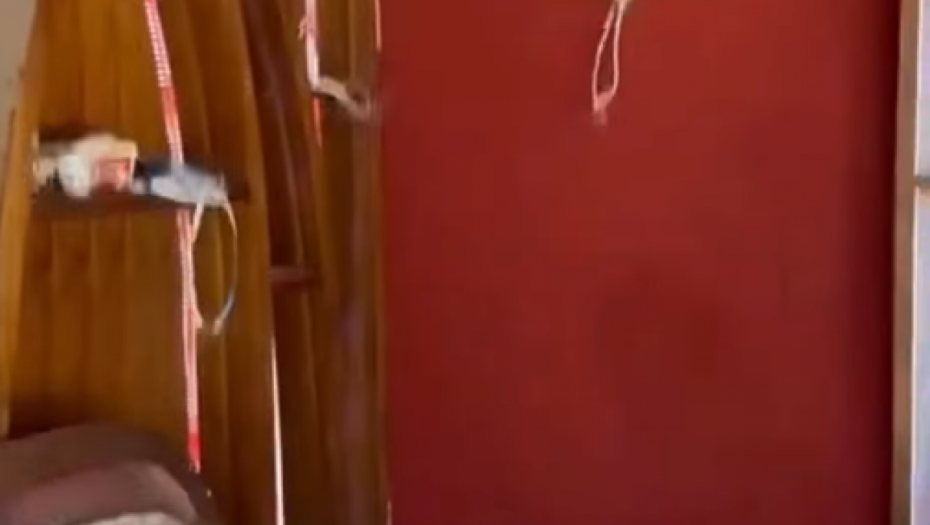 Stori Miloša Stojanovića Tigra