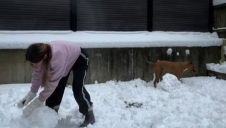 SRCE PUCA OD SLATKOĆE! Pas Nala uništila sneška i rasplakala vlasnike – SNIMAK ODUŠEVIO CEO SVET! (VIDEO)