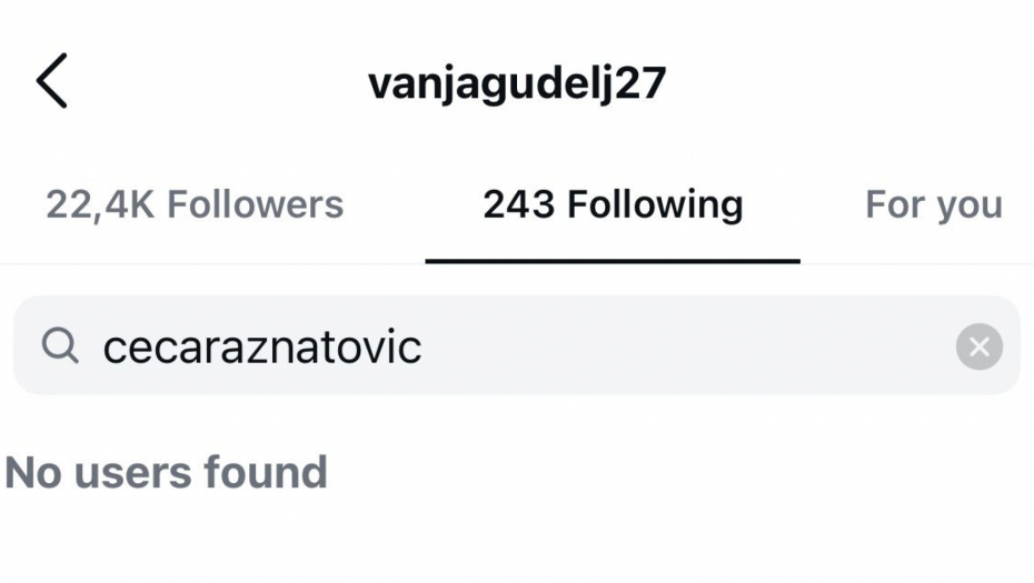 Ceca se ne prati na Instagramu sa Gudeljima