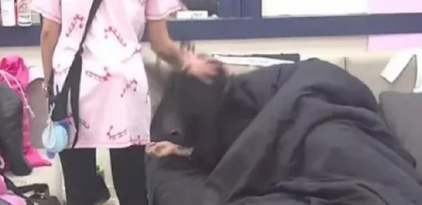 PrintScreen YouTube/Zadruga Official