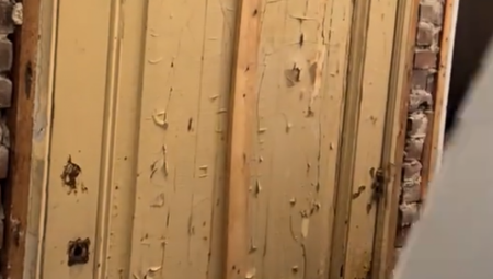 Iako su priznali da su bili „prestravljeni“, vlasnici su zapravo bili prijatno iznenađeni onim što su otkrili