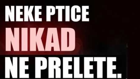 Plenumaši Fakulteta tehničkih nauka u Novom Sadu objavili su novu turu ograđivanja od ljudi sa kojima su do juče sarađivali