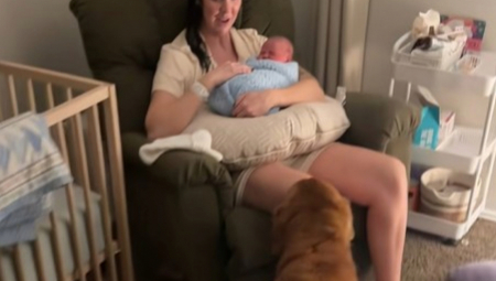 SUZE, ŠOK I SREĆA: Pogledajte psa koji prvi put vidi bebu – reakcija koja ODUŠEVLJAVA MILIONE! (VIDEO)