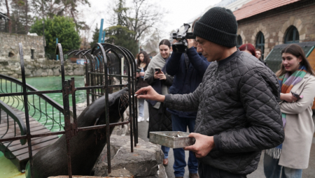 U Beo zoo-vVrt će, na osnovu saradnje sa drugim zoološkim vrtovima i prihvatilištima za životinje, do kraja godine stići tri bela medveda, a na proleće sledeće godine slonica iz Engleske.