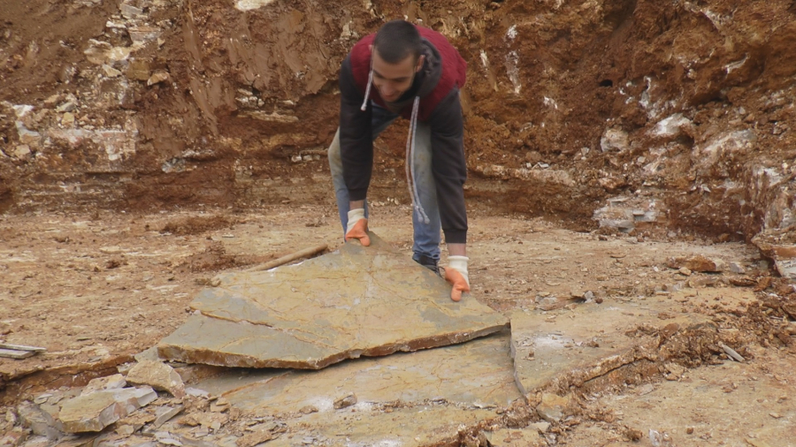 Poromak Živojina Mišića