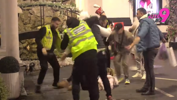 Aneli Ahmić, Luka Vujović