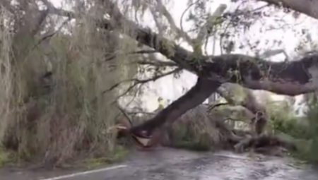 NEZAUSTAVLJIVA "EMILIJA" PRAVI HAOS Padaju stabla, poplavljeni podrumi kuća, nesreće... (VIDEO)