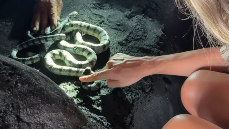 Printscreen iz Jutjub videa Marije Šerifović 