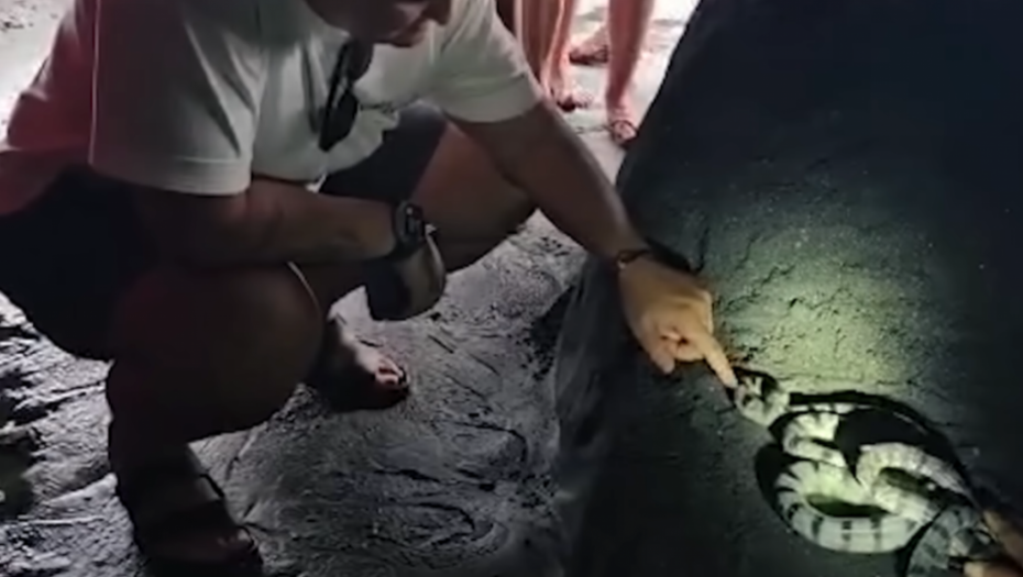 Printscreen iz Jutjub videa Marije Šerifović 