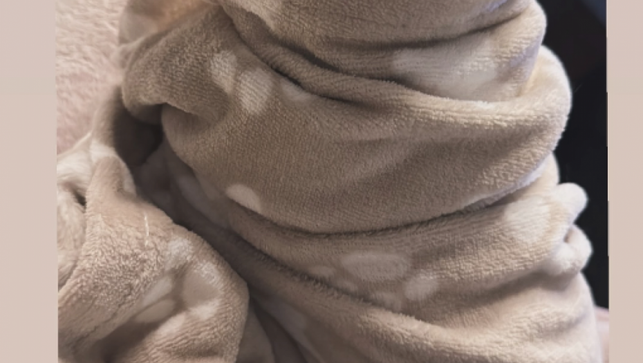 Foto: Printscreen/instagram