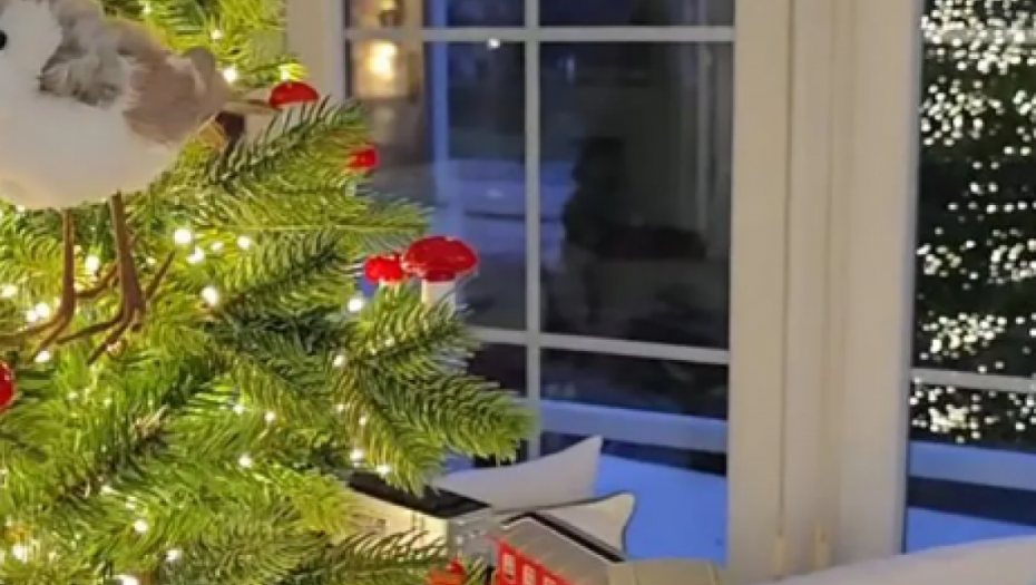 Dom Lidije Vukićević