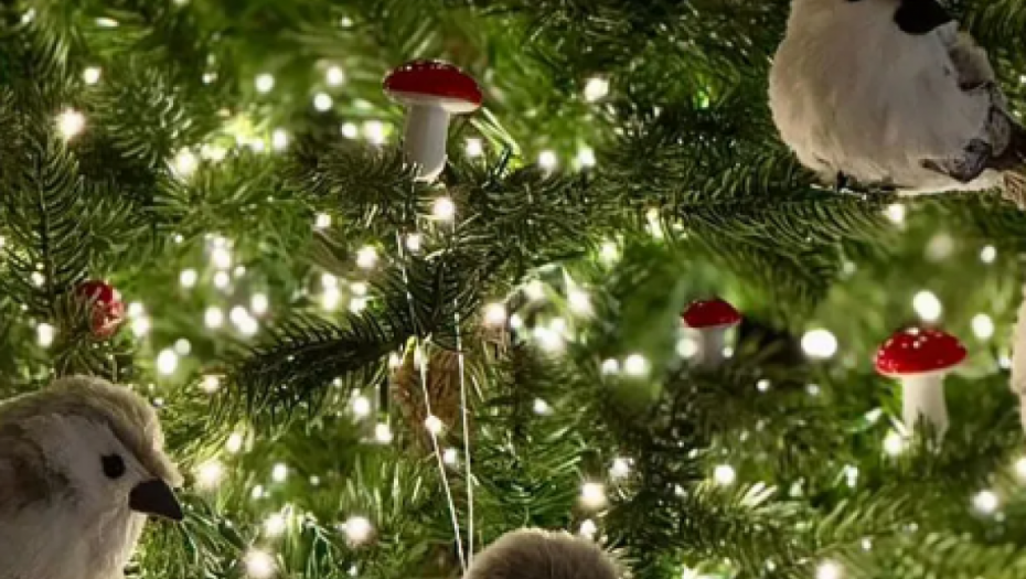 Dom Lidije Vukićević