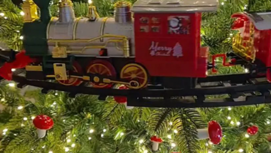 Dom Lidije Vukićević