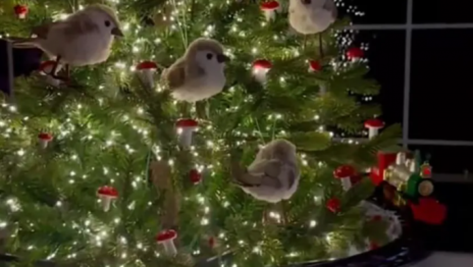 Dom Lidije Vukićević