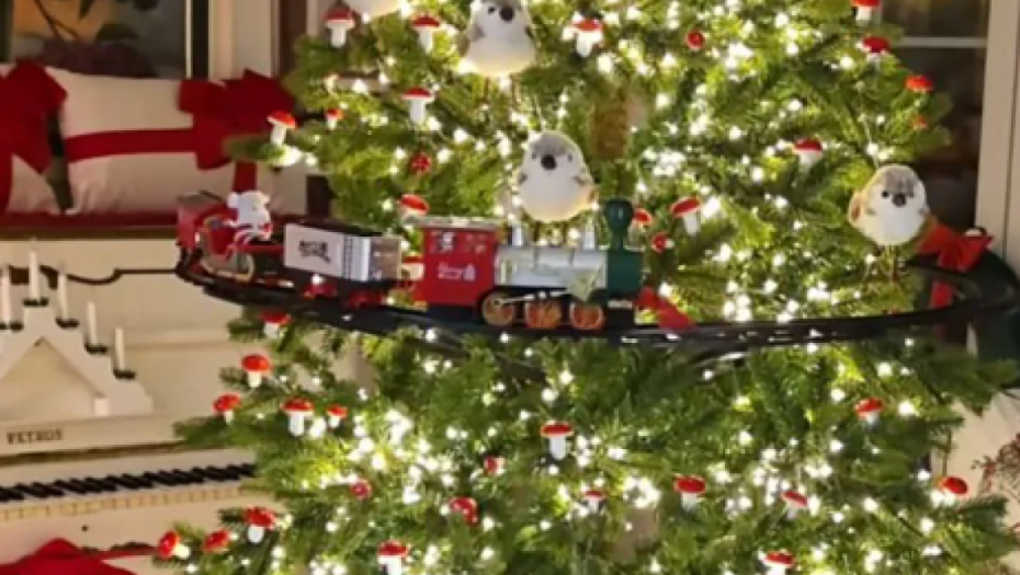 Dom Lidije Vukićević