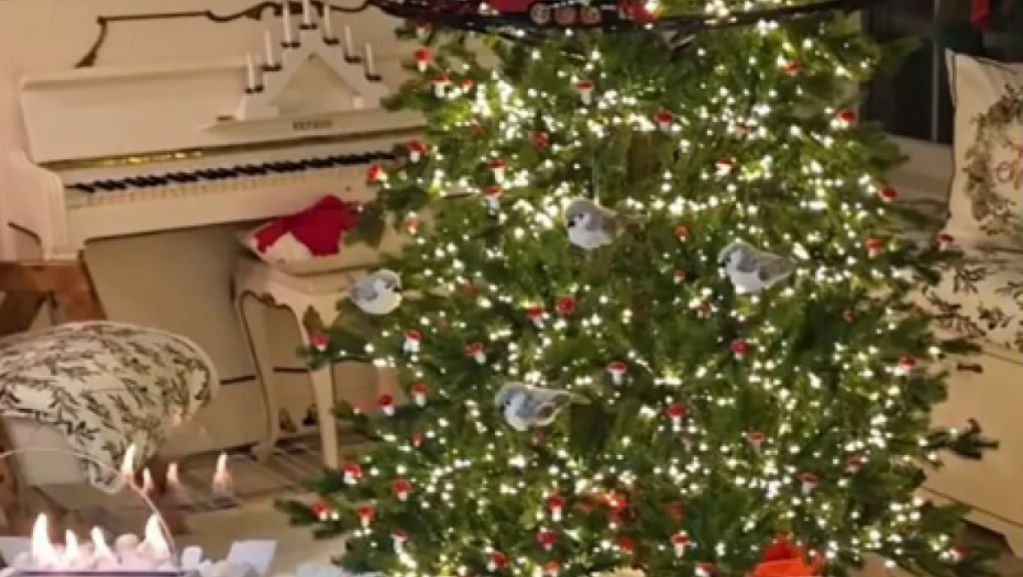 Dom Lidije Vukićević