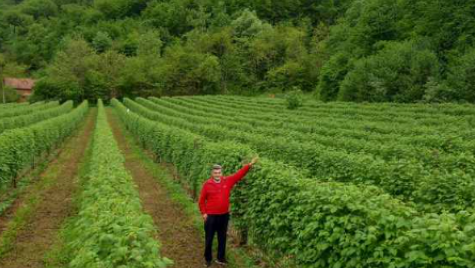 Foto: Miloš Miškov