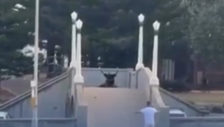 OTAC DVOJE DECE ČIJA JE ŽENA TRUDNA RIZIKOVAO ŽIVOT DA ZAUSTAVI TERORISTU, POLICIJA GREŠKOM PUCALA NA NJEGA! Ovo je drugi heroj sa plaže u Sidneju (VIDEO)