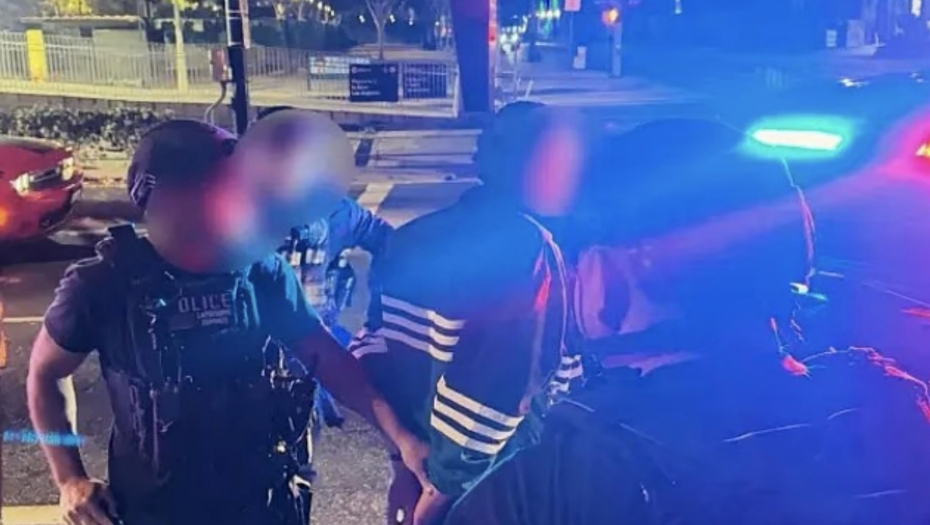 Hapšenje Nika Rajnera 