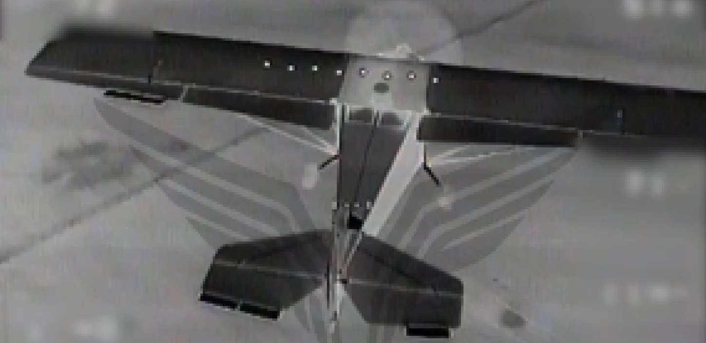 Printscreen/Telegram/Центр «РУБИКОН»