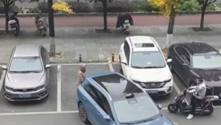 GENIJALNO ILI BEZOBRAZNO? Snimak drame na parkingu zapalio mreže, vozač povukao NEZAMISLIV POTEZ, žena ostala ukopana od šoka! (VIDEO)