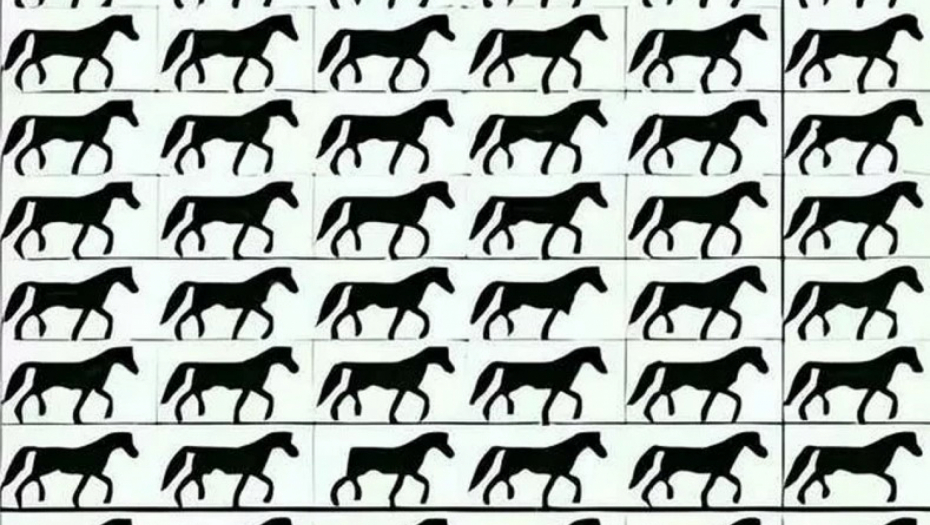 mozgalica sa konjima