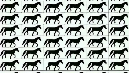 IMATE LI OKO SOKOLOVO?! Pronađite konja bez repa pre nego što vreme istekne – samo NAJBRŽI uspevaju!