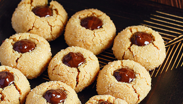 posna lešnik gnezda