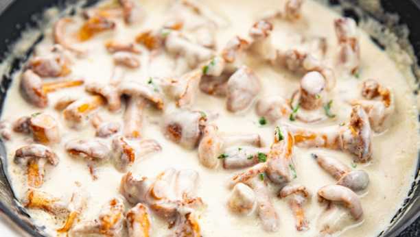 bešamel sos sa pečurkama