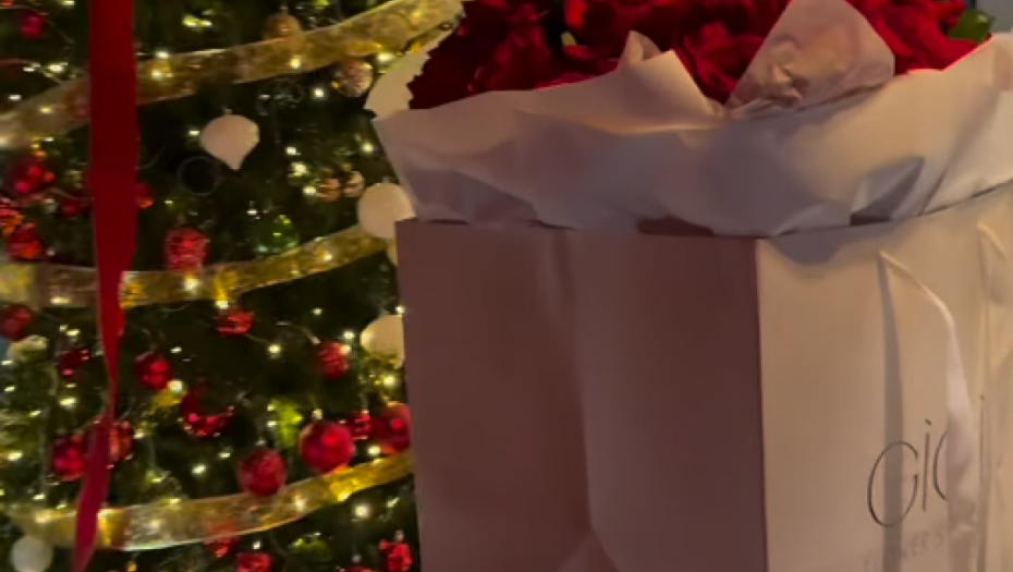 Stori Stanije Dobrojević