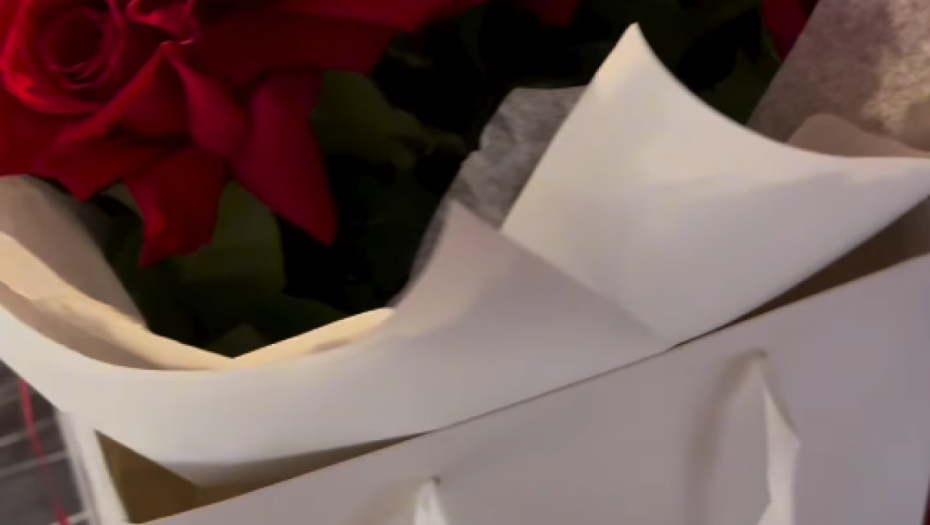 Stori Stanije Dobrojević